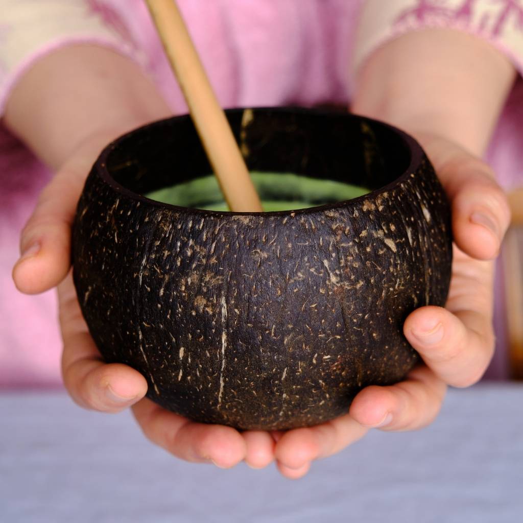 Natural Coconut Shell Mug Set