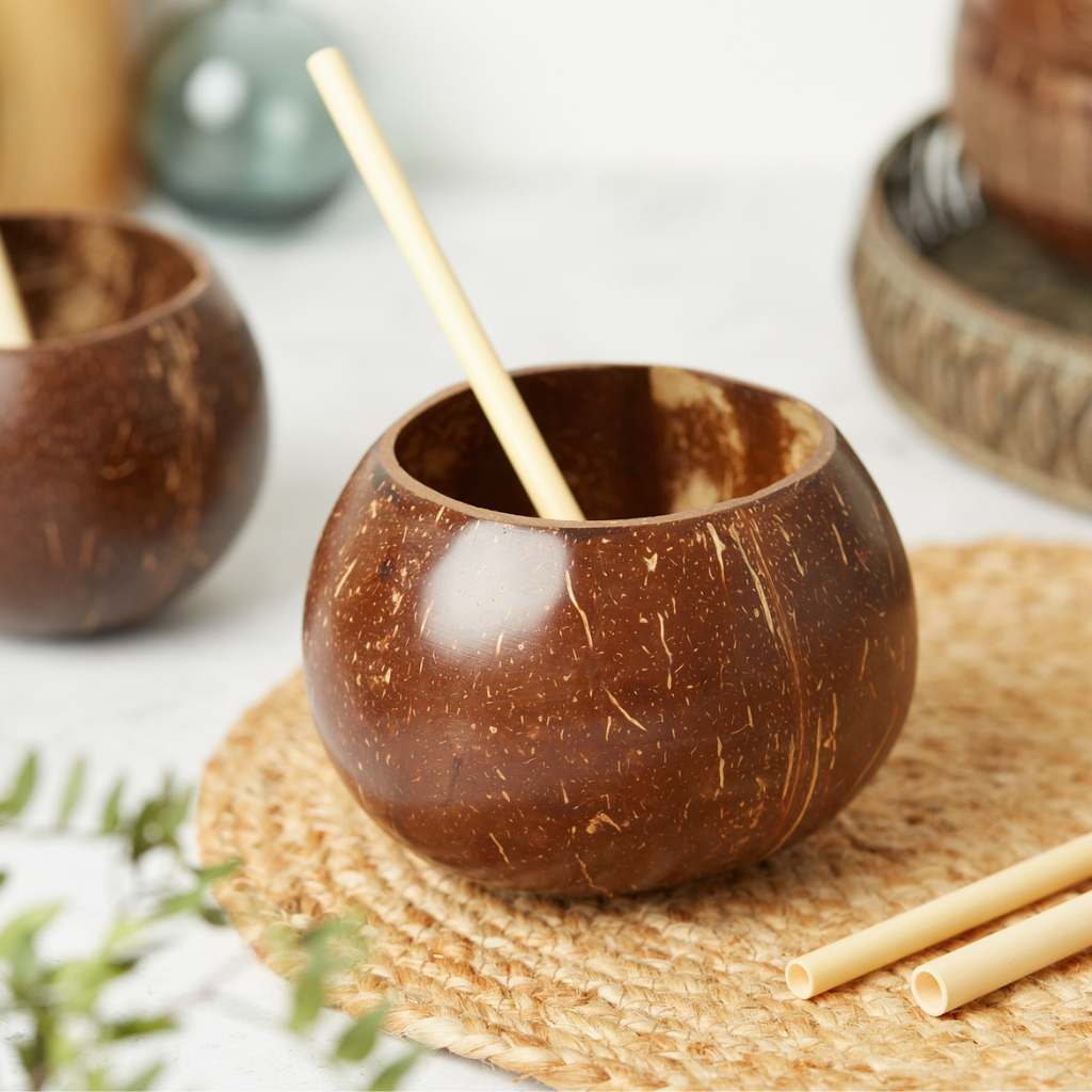 Natural Coconut Shell Mug Set